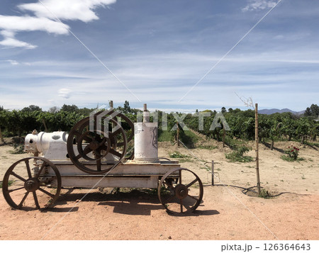 世界で最も標高の高いワイン畑 世界で最も標高の高いワイン畑 126364643