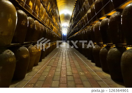 台湾の埔里観光酒廠 台湾の埔里観光酒廠 126364901