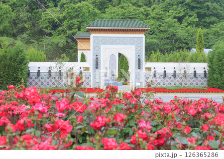 春ばら満開の ぎふワールド・ローズガーデン 春ばら満開の ぎふワールド・ローズガーデン 126365286
