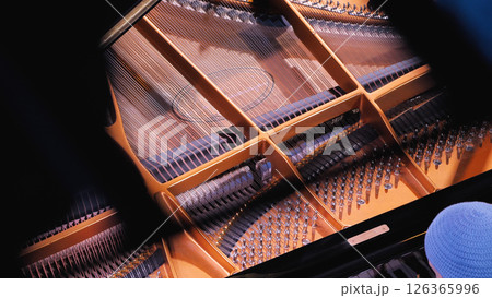 A close-up of the inside of a grand piano, showing the strings and hammers. A person's hand and a blue hat are visible in the foreground. Top view. 126365996