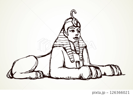 Egyptian sphinx. Vector pen drawing 126366021