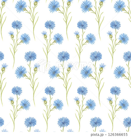 Seamless watercolor pattern with blue cornflower flowers on a white background. Vintage-style botanical pattern, floral wallpaper, fabric pattern, wrapping paper, natural-style interior decoration. 126366655