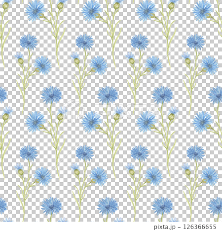 Seamless watercolor pattern with blue cornflower flowers on a white background. Vintage-style botanical pattern, floral wallpaper, fabric pattern, wrapping paper, natural-style interior decoration. 126366655