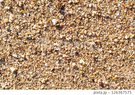 Flat lay surface of sandy beach with yellow sand and small stones background. 126367575