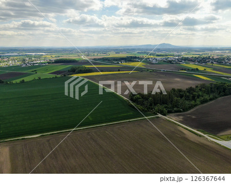 Fields of agricultural crops around the village of Bielany Wroclawskie Fields of agricultural crops around the village of Bielany Wroclawskie 126367644