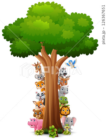 Cute animals cartoon playing behind a tree Cute animals cartoon playing behind a tree 126367651