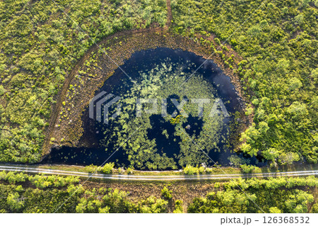 Amazing Florida nature. Swamp lake with floating water lilies in southern tropical wetlands Amazing Florida nature. Swamp lake with floating water lilies in southern tropical wetlands 126368532