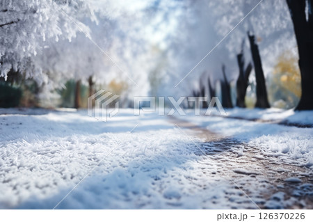 the road in winter, beautiful view, snow and frost with bright sunlight 126370226