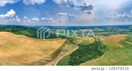 Aerial landscape view of yellow cultivated agricultural fields with ripe wheat and green woods on bright summer day Aerial landscape view of yellow cultivated agricultural fields with ripe wheat and green woods on bright summer day 126370510