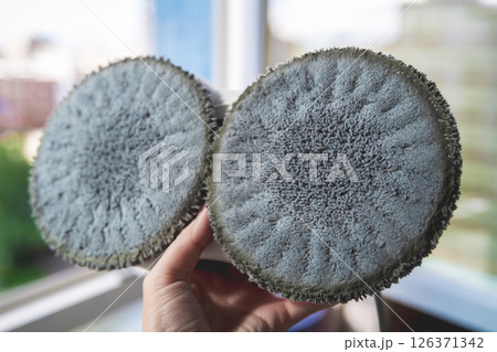 Dirty wipes on the window cleaner robot after work 126371342