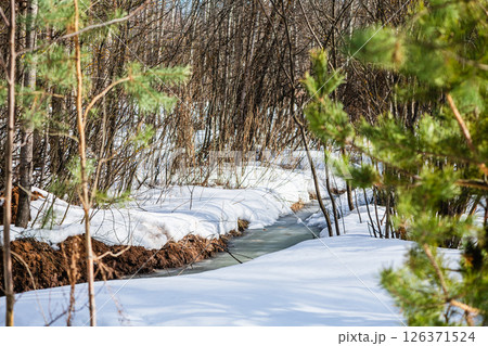 Melting snow reveals a small stream flowing through a serene forest landscape, hinting at the arrival of early spring and the renewal of nature 126371524