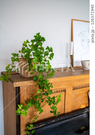 Ivy plant in a wicker basket sits atop a vintage piano, creating a tranquil and inviting atmosphere in a cozy home interior, complemented by a framed artwork and a decorative cup Ivy plant in a wicker basket sits atop a vintage piano, creating a tranquil and inviting atmosphere in a cozy home interior, complemented by a framed artwork and a decorative cup 126371940