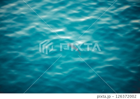 Water texture with waves and splashes from fish, Water texture, fish swimming underwater, natural natural water, sea background Water texture with waves and splashes from fish, Water texture, fish swimming underwater, natural natural water, sea background 126372002