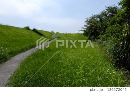 大分市 弁天島公園 大分市 弁天島公園 126372045