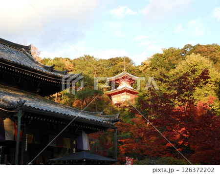 紅葉に包まれた山寺の夕景 126372202
