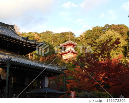 紅葉に包まれた山寺の夕景 紅葉に包まれた山寺の夕景 126372203