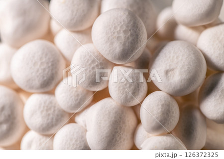 Closeup of a bunch of shimeji mushrooms 126372325