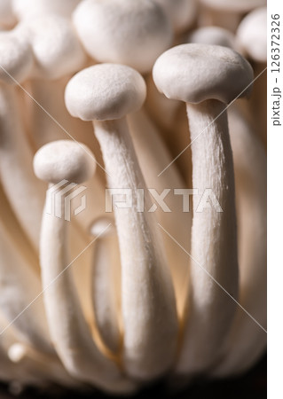 Closeup of a bunch of shimeji mushrooms 126372326