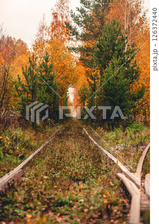 Rails of the railway in autumn, around the forest 126372440