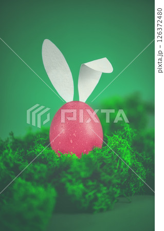 easter pink egg with white rabbit ears among green moss. creative minimalistic easter photo 126372480