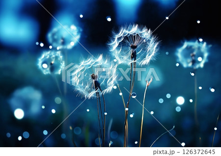 fabulous fluorescent blue plants or dandelion flowers 126372645