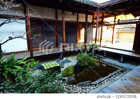 京都府 東寺 観智院・庭園「四方正面の庭」 京都市 南区 九条町 2022年2月 京都府 東寺 観智院・庭園「四方正面の庭」 京都市 南区 九条町 2022年2月 126372836