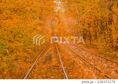 Autumn forest through which the tram travels, Kyiv and rails Autumn forest through which the tram travels, Kyiv and rails 126373174