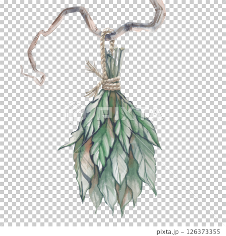 A watercolor bunch of grass is drying on a branch, tied with a jute rope. Illustration of drying green grass in suspension. Kitchen or pantry wall decor. Spice stocks 126373355