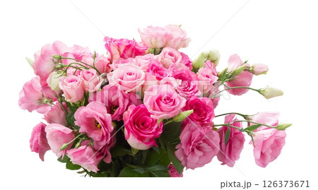 Close up of pink eustoma flowers Close up of pink eustoma flowers 126373671