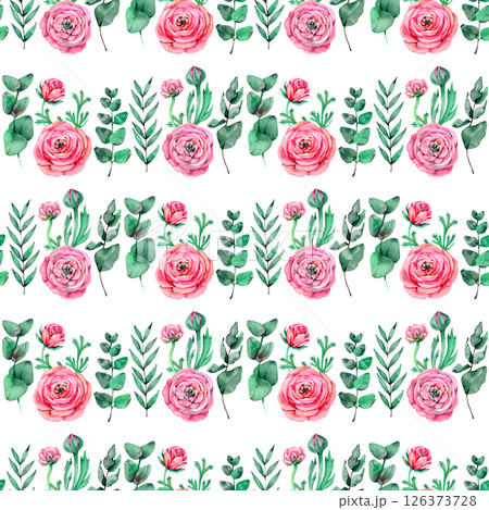 Ranunculus buttercup . Seamless floral pattern with pink flowers and Ranunculus buds. illustration isolated on a white background. Ranunculus buttercup . Seamless floral pattern with pink flowers and Ranunculus buds. illustration isolated on a white background. 126373728