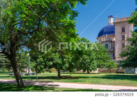 Dome of Museu de Belles Arts in Valencia 126374029