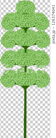 Beautiful shape and colors of green blossom flower petals. Beautiful shape and colors of green blossom flower petals. 126374041