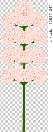 Beautiful shape and colors of pink blossom flower petals. Beautiful shape and colors of pink blossom flower petals. 126374044