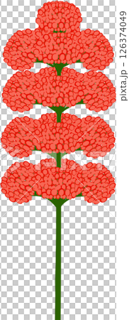 Beautiful shape and colors of red blossom flower petals. 126374049