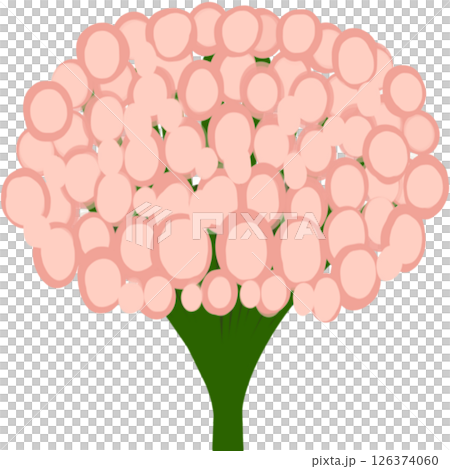 Beautiful shape and colors of pink blossom flower petals. Beautiful shape and colors of pink blossom flower petals. 126374060