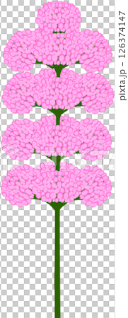 Beautiful shape and colors of pink blossom flower petals. 126374147