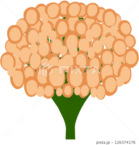 Beautiful shape and colors of orange blossom flower petals. Beautiful shape and colors of orange blossom flower petals. 126374176