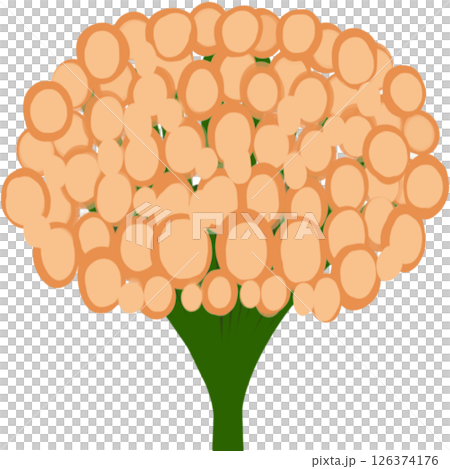 Beautiful shape and colors of orange blossom flower petals. Beautiful shape and colors of orange blossom flower petals. 126374176