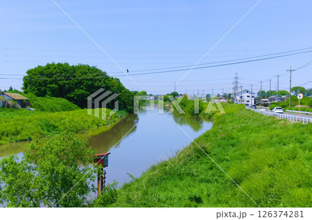 埼玉県さいたま市元荒川沿いの風景2025年5月 126374281