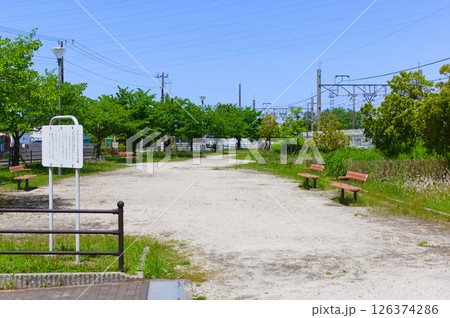 埼玉県三郷市ららシティとんがり公園周辺2025年5月 126374286