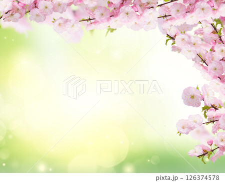 Blossoming white tree Flowers Blossoming white tree Flowers 126374578
