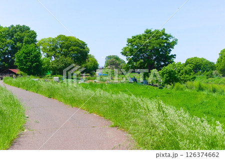 埼玉県越谷市元荒川沿い2025年5月 126374662