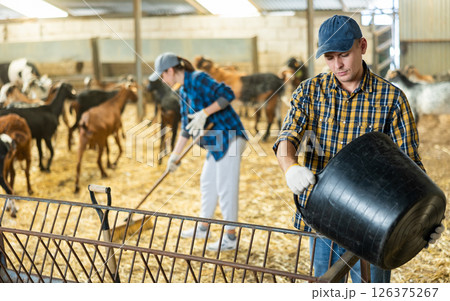 Man pouring dry food from bucket into goat feeder 126375267