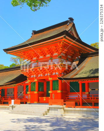 宇佐神宮本殿（国宝・縦構図） 126375334