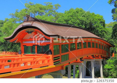 宇佐神宮（呉橋） 126375350