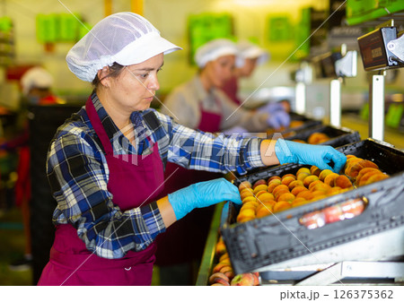 European female employee working 126375362