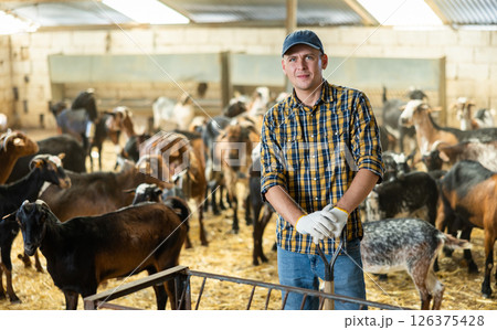 Hired livestock farm worker cleans up goat pen 126375428