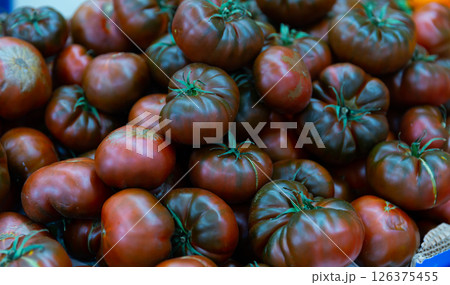 Ripe tomatoes of the Negros variety Ripe tomatoes of the Negros variety 126375455