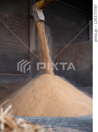 Soybean husk in animal feed facory Soybean husk in animal feed facory 126375597