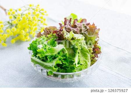 新鮮な葉物野菜のサラダ 126375927